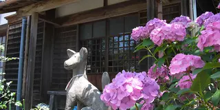 知多半島最南端！南知多33観音を巡る旅＜完全制覇＞vol.2