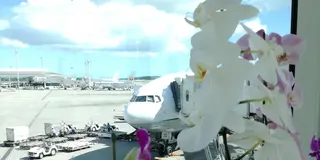 1泊で癒し旅♡週末沖縄堪能プラン。