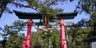 【新潟県村上市】ハトを探して港町さんぽ