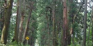 鹿沼の「涼」スポット巡り