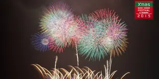 南の島のクリスマス☆沖縄で感じる光と音のファンタジー