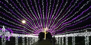 1キロ以上も続く光の道を抜けると…そこはイルミネーションの森だった！