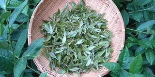 今、沖縄の紅茶がアツい❣️お茶も食も沖縄尽くし❣️150%沖縄産の旅🌱✨✨