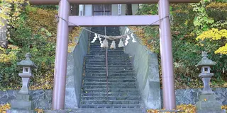 小樽の神社⛩