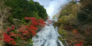 もみじ狩り🍁日光『中禅寺湖〜湯ノ湖編』