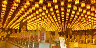 厳島神社だけじゃない⁉️皇族、将軍も愛した宮島スポット✨一泊二日でパワーチャージ✨⛩✨