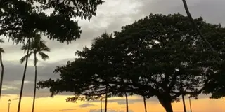 コロナ禍のハワイ旅🌈