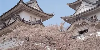 三重と奈良ひとりたび