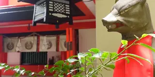 【山口県・島根県】電車乗り放題の周遊パスで湯田温泉・津和野・防府を巡る！1泊2日のひとり旅