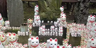 世田谷区歴史散歩コース【豪徳寺】
