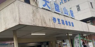 【大雄山最乗寺】天狗伝説が残る最乗寺でパワースポット巡り👺✨