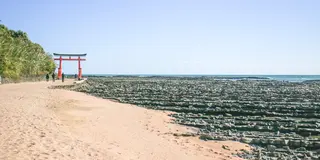 日帰り⛩宮崎ドライブ