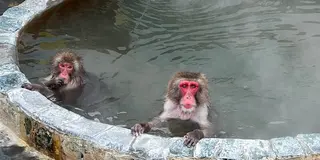 函館・川の湯温泉｜2泊3日の地元グルメ満喫旅