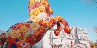 青森横断！弾丸ドライブ【1泊2日】