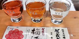 【広島県】日本酒の街・西条🍶昼から美味しいお酒を飲み歩くグルメプラン🤤