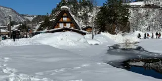 マイカーで行く三河・郡上八幡・白川郷の旅(一部バスツアー)