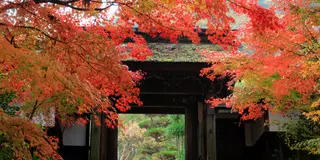 ・南木曽の秋・