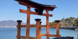【広島】宮島って一周できるの？誰も知らない宮島の裏側へ行ってみた🚴‍♂️
