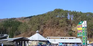 初ワン連れ一泊旅行、蓼科編