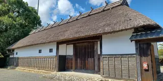 せっかくなら楽しむが吉な午前中🌸