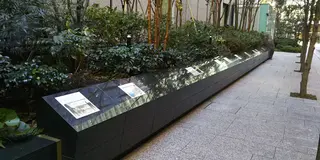 箱根駅伝スタートライン