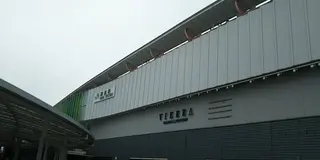 奈良金魚ミュージアムと熟成ゴロゴロビーフカレー