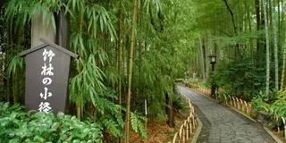 秋の欲張り京都女子旅♡