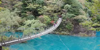 【定番の観光スポット】川根本町に来たら、この８カ所はお見逃しなく！