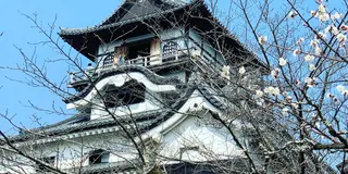 犬山城と男と女（田縣神社と大縣神社）の散策コース