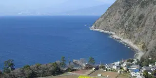西伊豆旅行