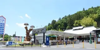 栃木県日帰り旅行