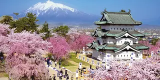 弘前城と桜と岩木山。春の青森旅行2023。