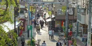 下町の魅力たっぷり「谷根千」をお散歩！