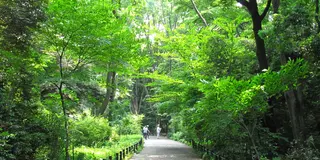 白金周辺を散策♪