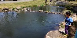 利根沼田エリアで涼しむ夏のレジャースポット