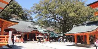 世界遺産の那智大社と勝浦温泉