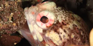 都心から日帰りも可能なプチリゾート⁈