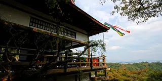 嵐山・嵯峨野の珍しい楽しみ方〜京都一の絶景ポイントと外国人人気抜群の人間動物園！