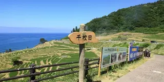 わんこと北陸  とか