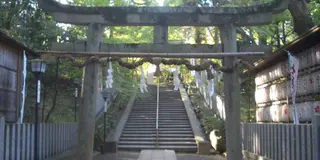 京の都は京都だけやおまへん。長岡京も忘れんといて