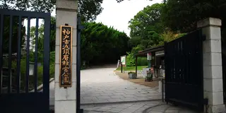 世界各国の花を一日で～須磨離宮公園～