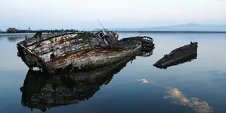 変わった島！？島根の大根島！