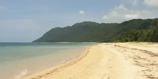 西表島の大自然を堪能する旅