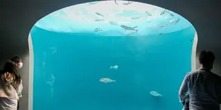 日帰り✈︎香川旅