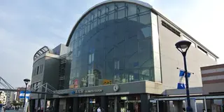 うどん県を満喫、車じゃなくてもいけるうどん屋めぐり