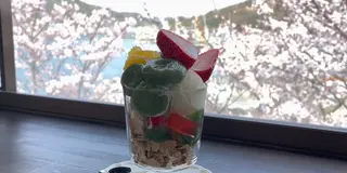 【広島県】春の尾道を散歩しながら桜スポット巡り🌸絶景とグルメを満喫する1日✨