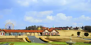 千葉なのに東京ドイツ村？ドイツなのに子供王国？わけわかりませんが素晴らしい！
