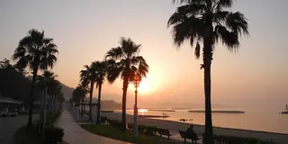 吉良ワイキキビーチを早朝ポタで快走♪