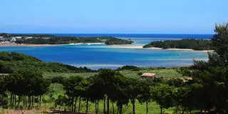 美ら島記録　石垣島編