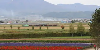 秋の富良野を満喫